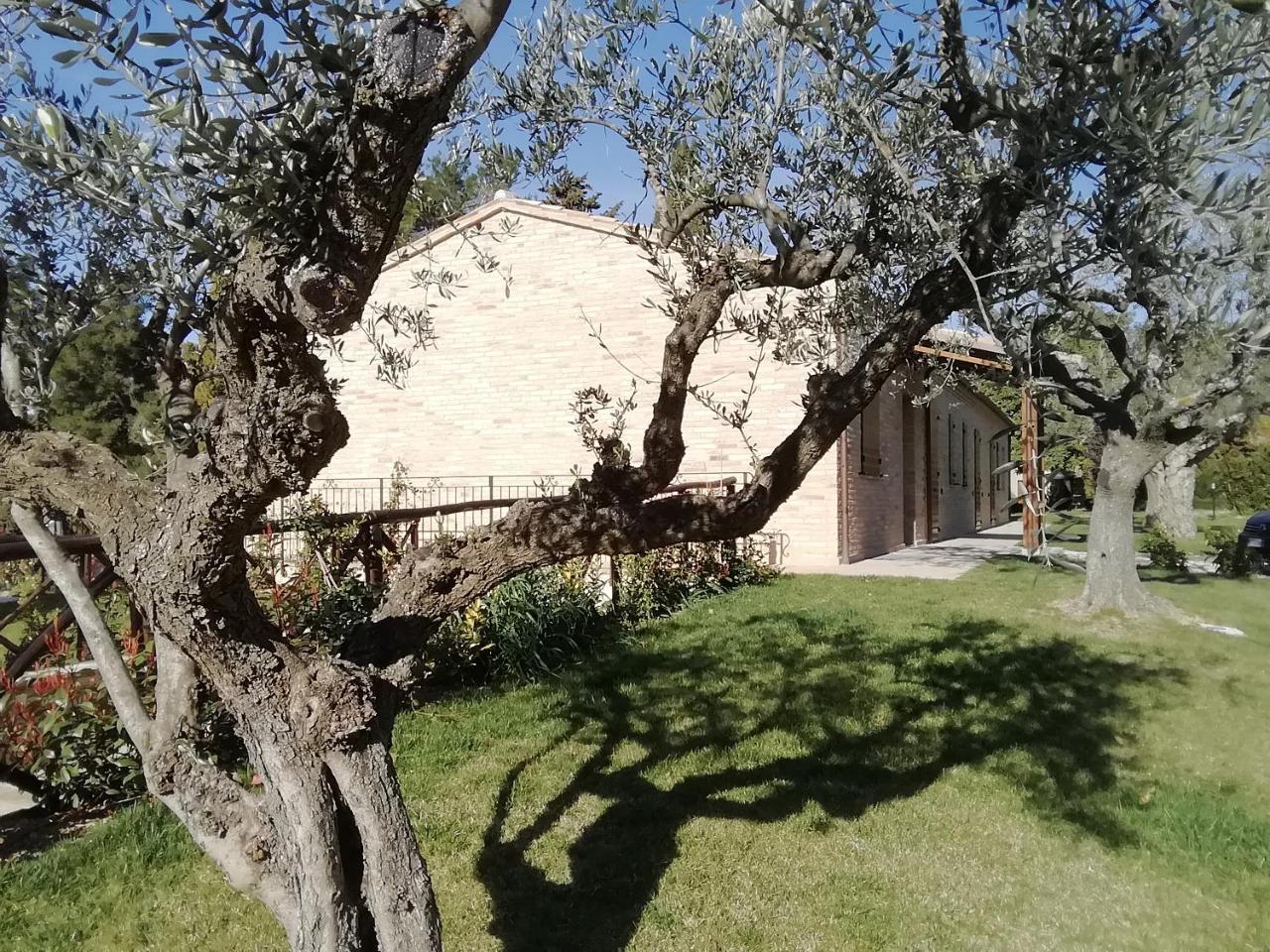 Apartmán Il Roccolo Di Valcerasa Treia Exteriér fotografie
